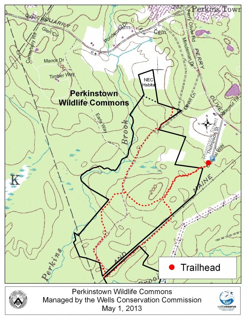 WellsCCPerkinstownWildlifeCommonstrail1-791x1024