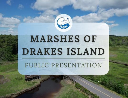 Drakes Island Reserve Newsflash
