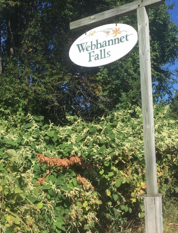 Webhannet Falls Park Image 1