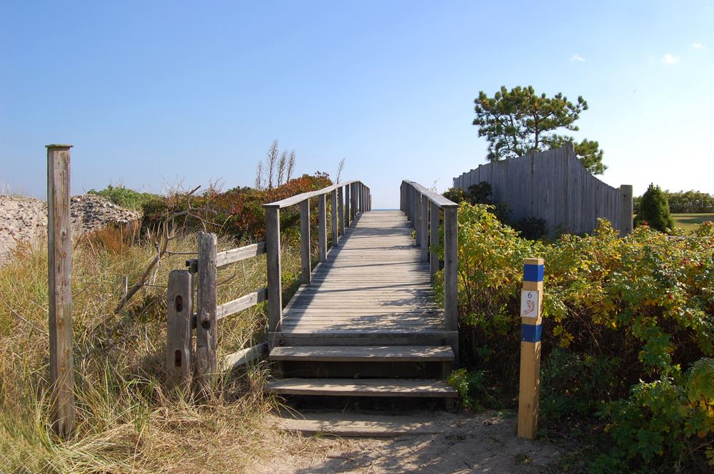 bridge_to_beach